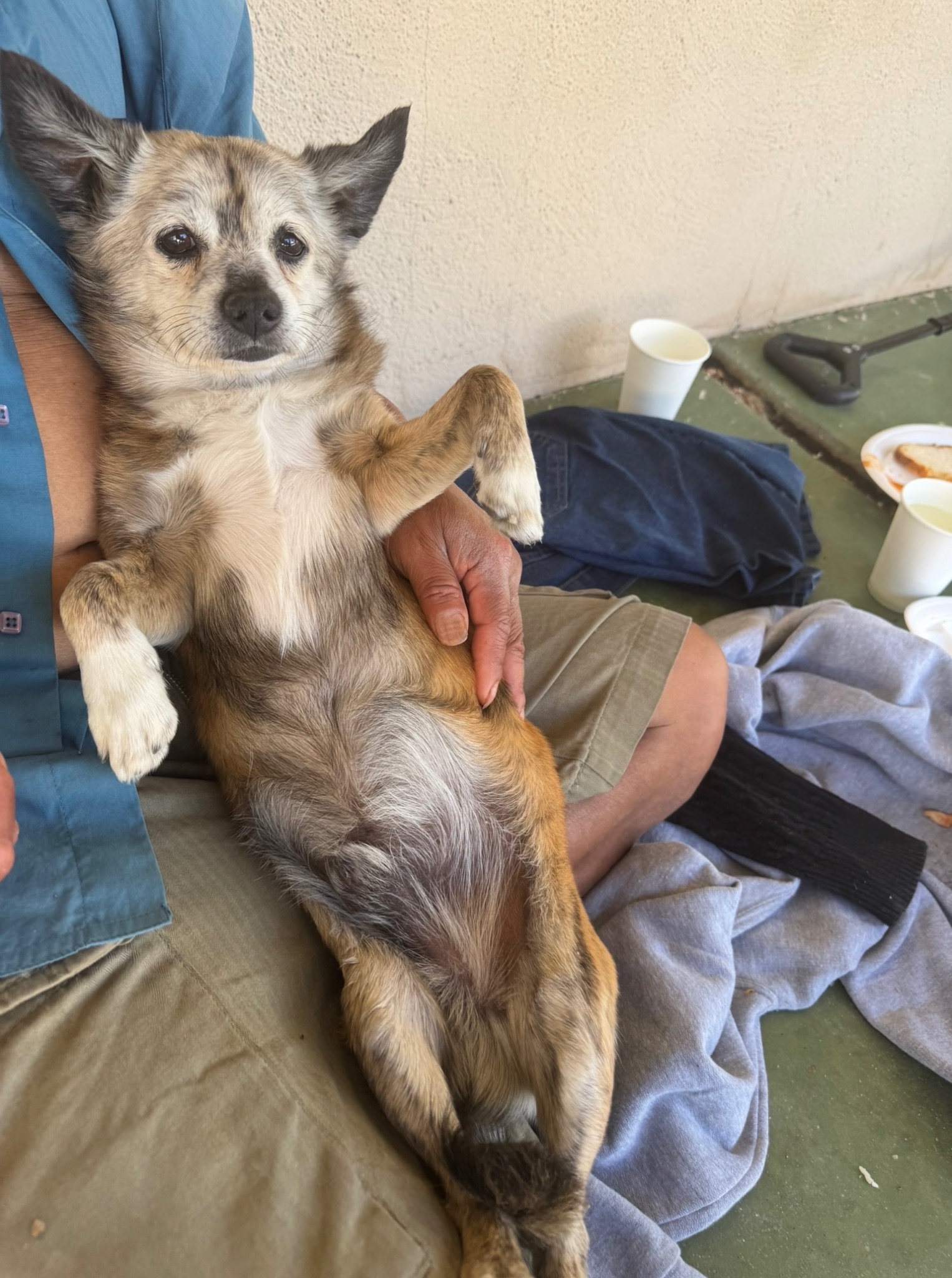 Homeless friend and his dog Franky